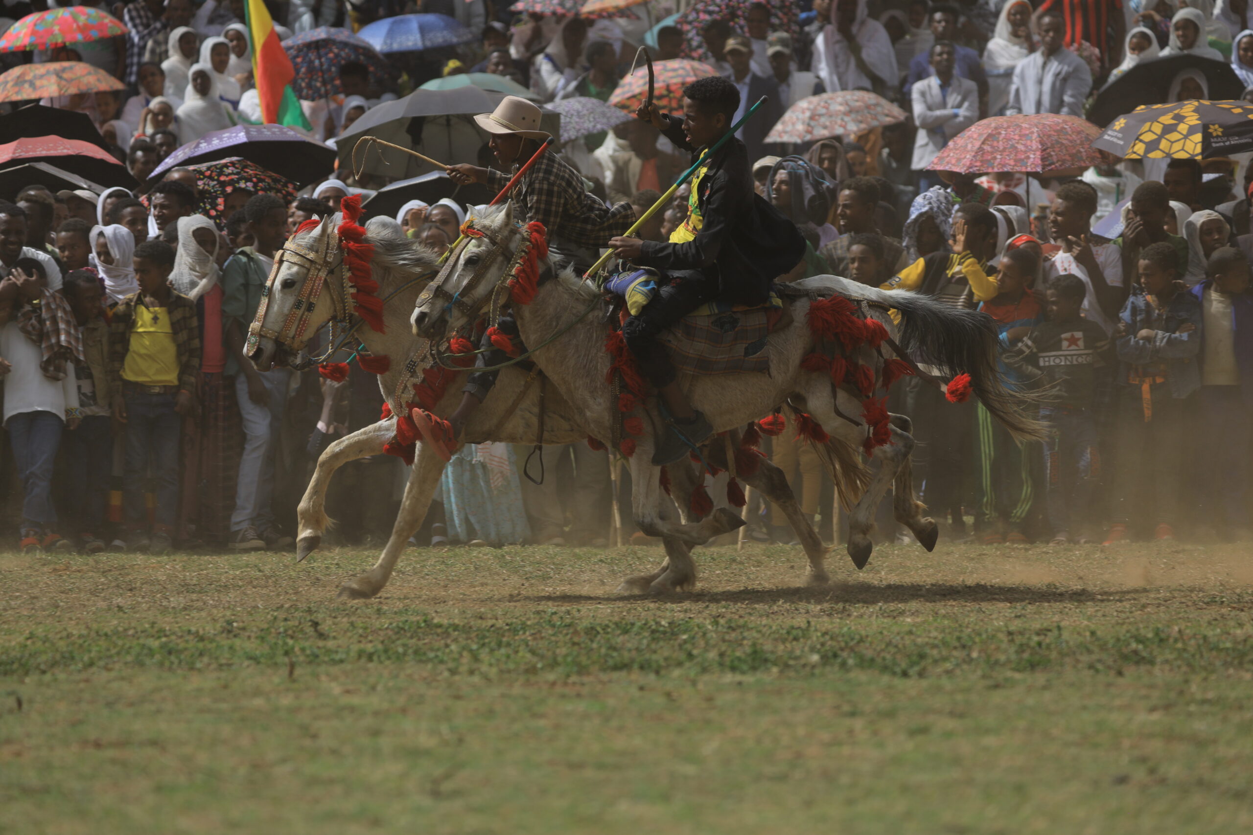 Horse Racing - Este Densa (1)