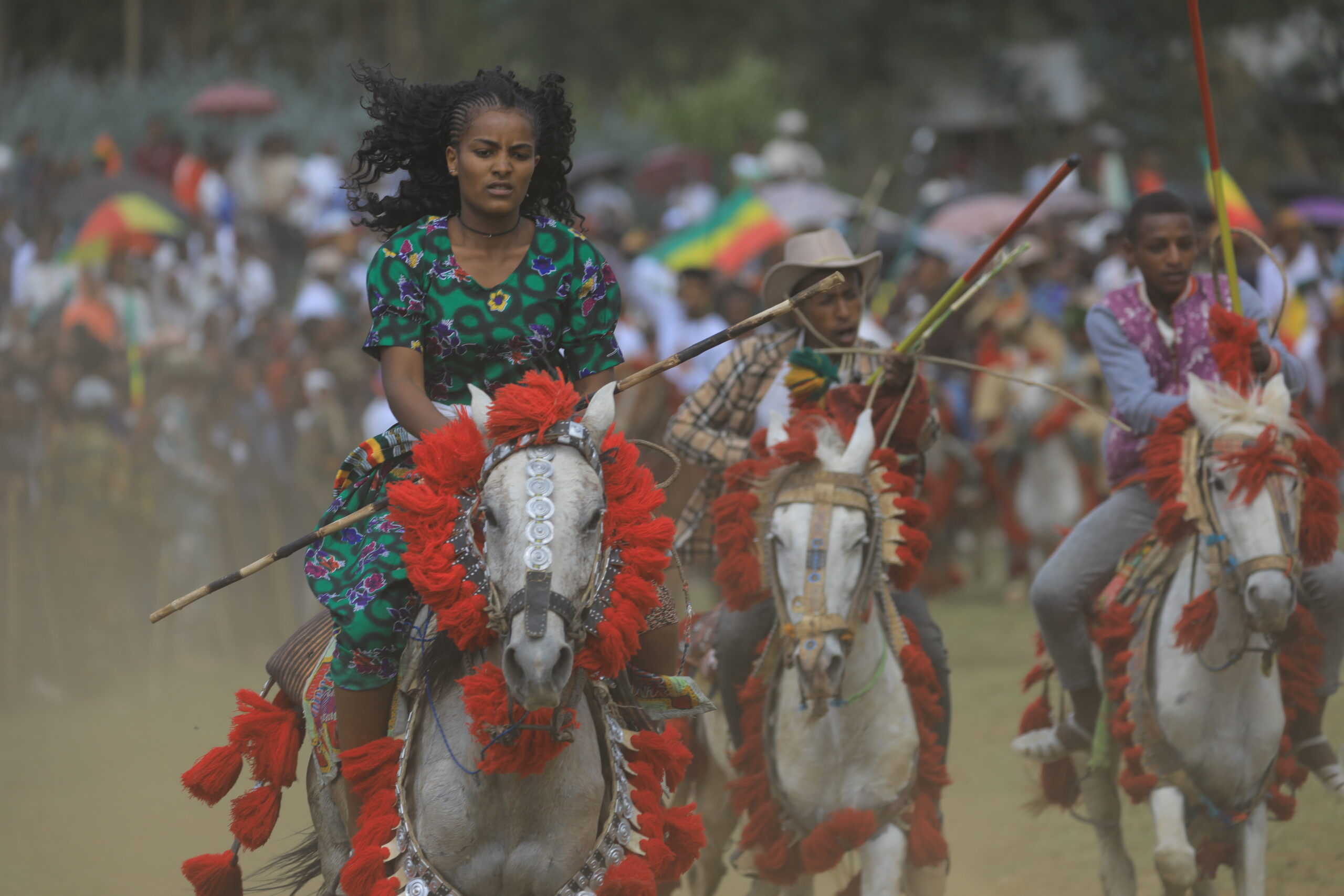 Horse Racing - Este Densa (4)