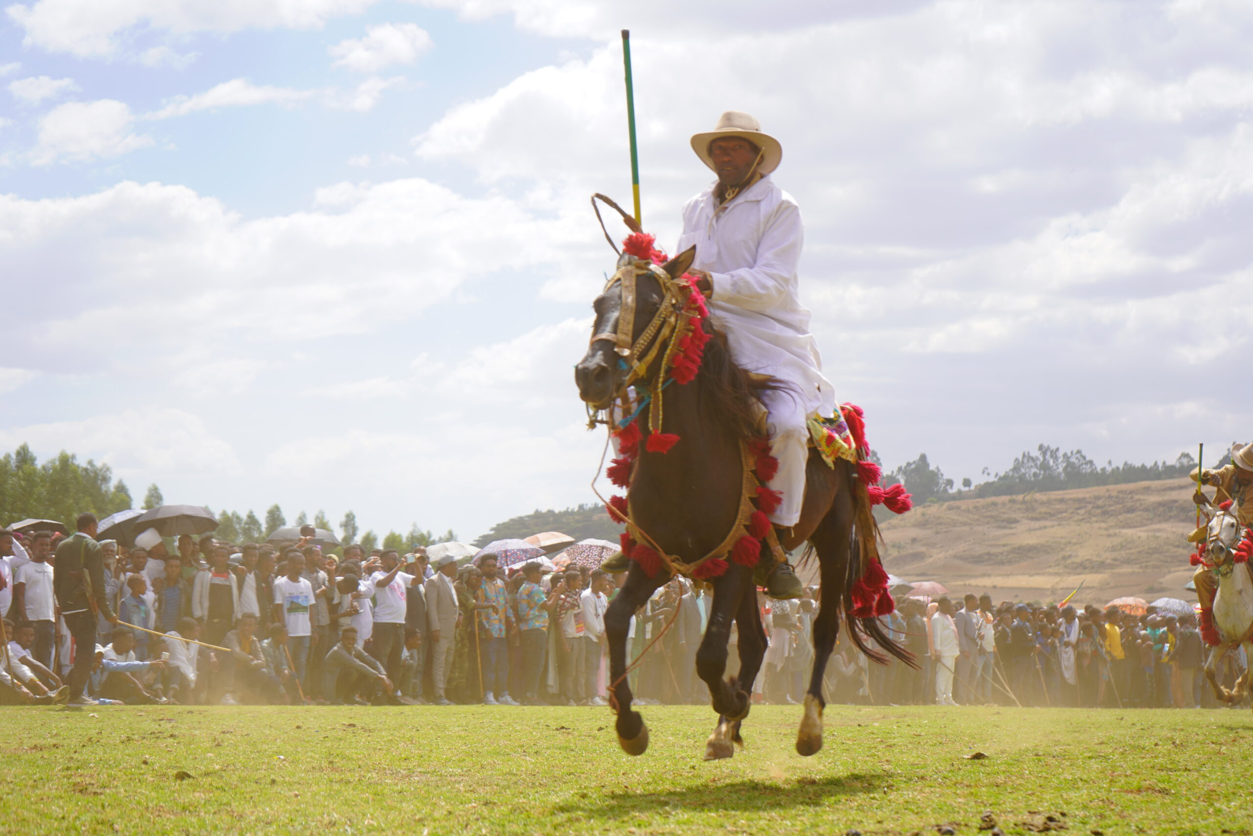 Horse Riding - Este (4)