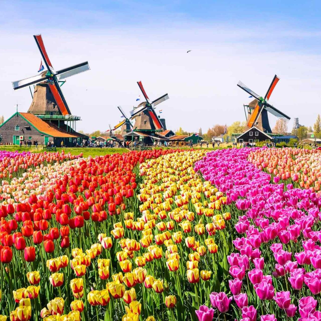 destination-netherlands-01 https://untoldethiopiatours.com/wp-content/uploads/2018/09/destination-netherlands-01-1280x1280.jpg