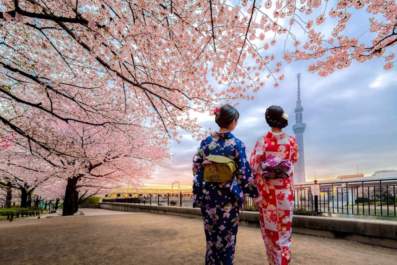 destination-tokyo-03 https://untoldethiopiatours.com/wp-content/uploads/2018/09/destination-tokyo-03-1280x854.jpg