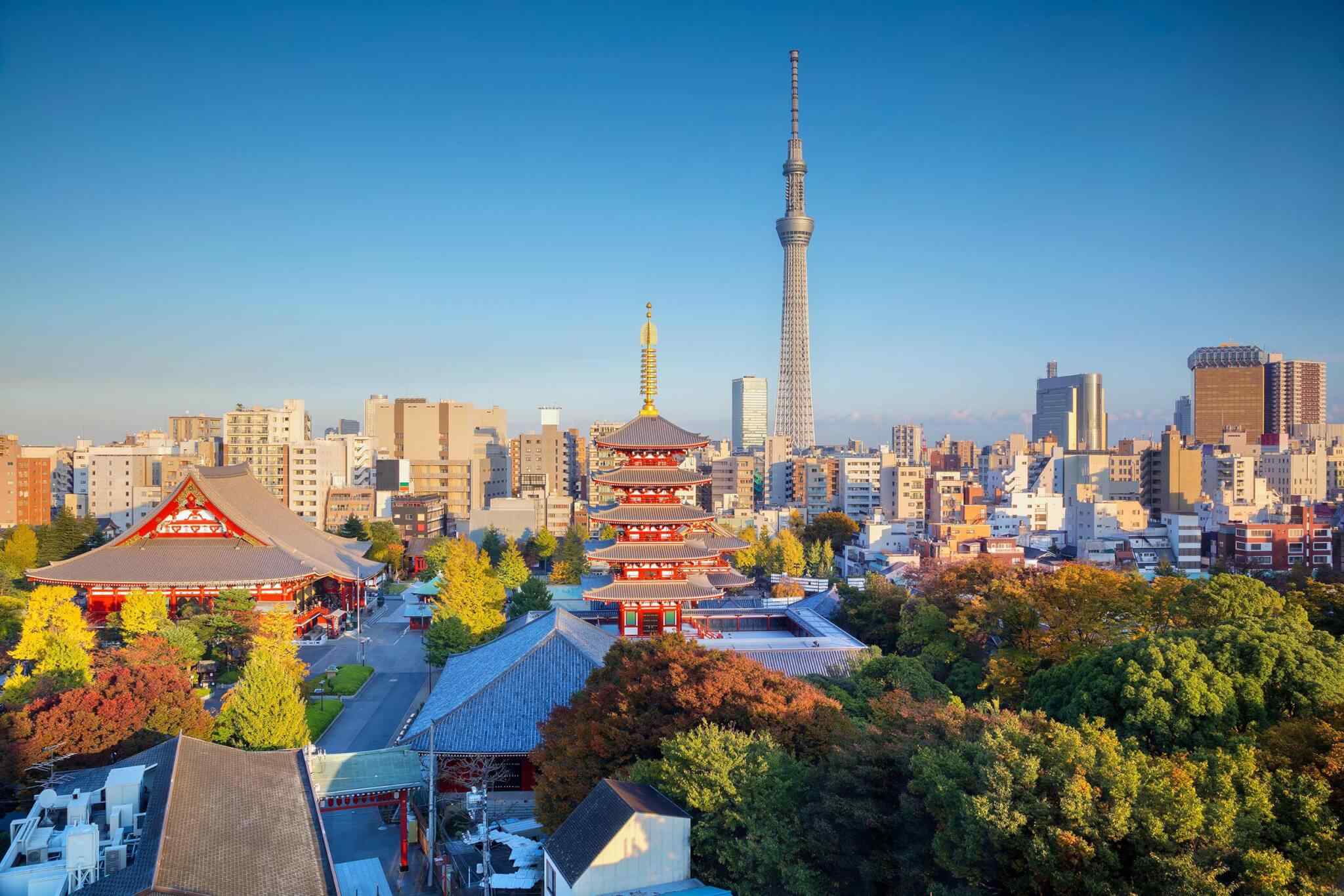 destination-tokyo-04 https://untoldethiopiatours.com/wp-content/uploads/2018/09/destination-tokyo-04.jpg
