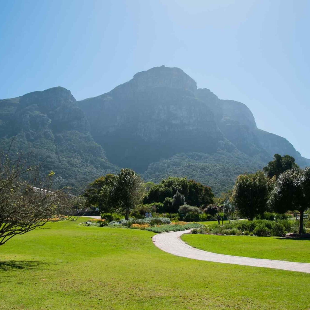 https://untoldethiopiatours.com/wp-content/uploads/2018/09/tour-capetown-03-1280x1280.jpg