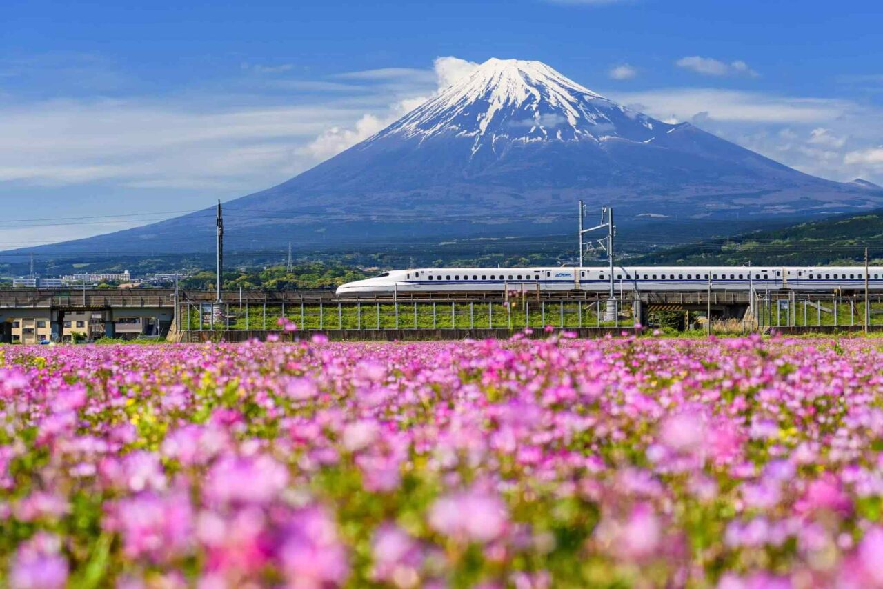 https://untoldethiopiatours.com/wp-content/uploads/2018/09/tour-osaka-04-1280x854.jpg