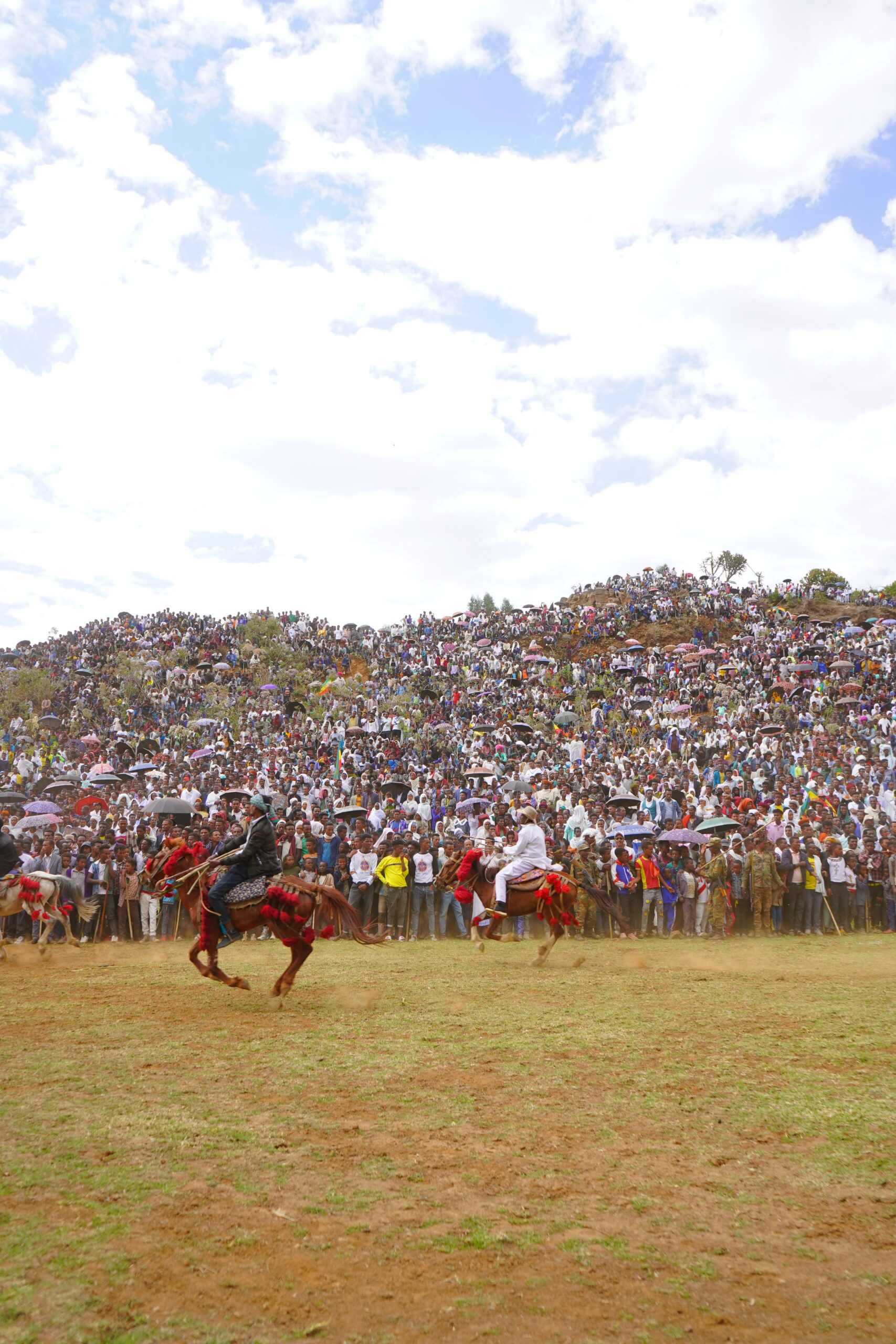 Este Merkorios Horse Festival (2)