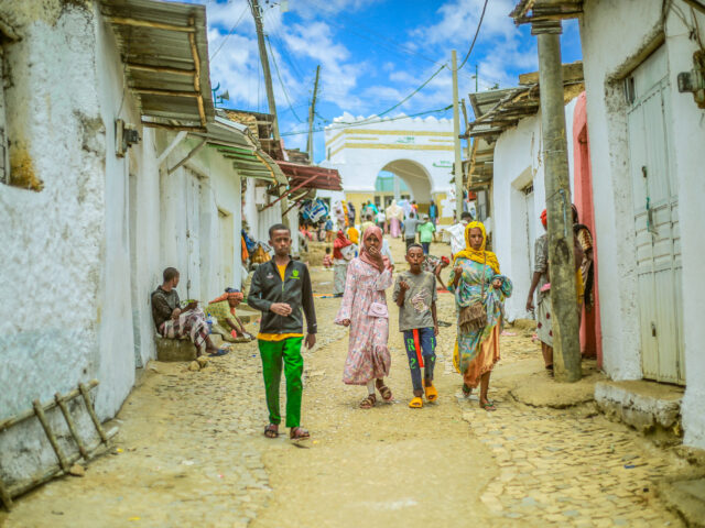 Cultural Tour “Historic Route” with Harar and Awash