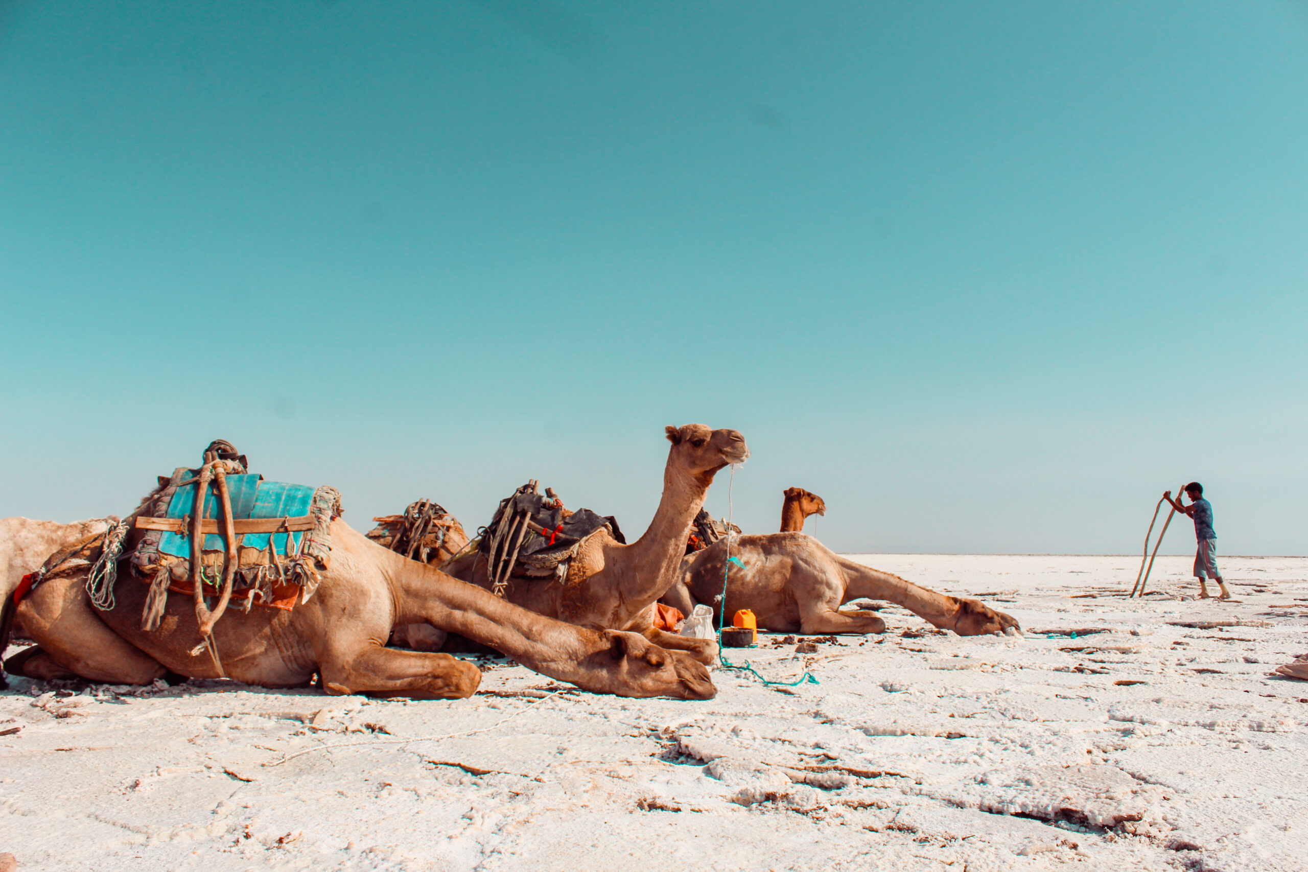 Salt Workers - Danakil Depression