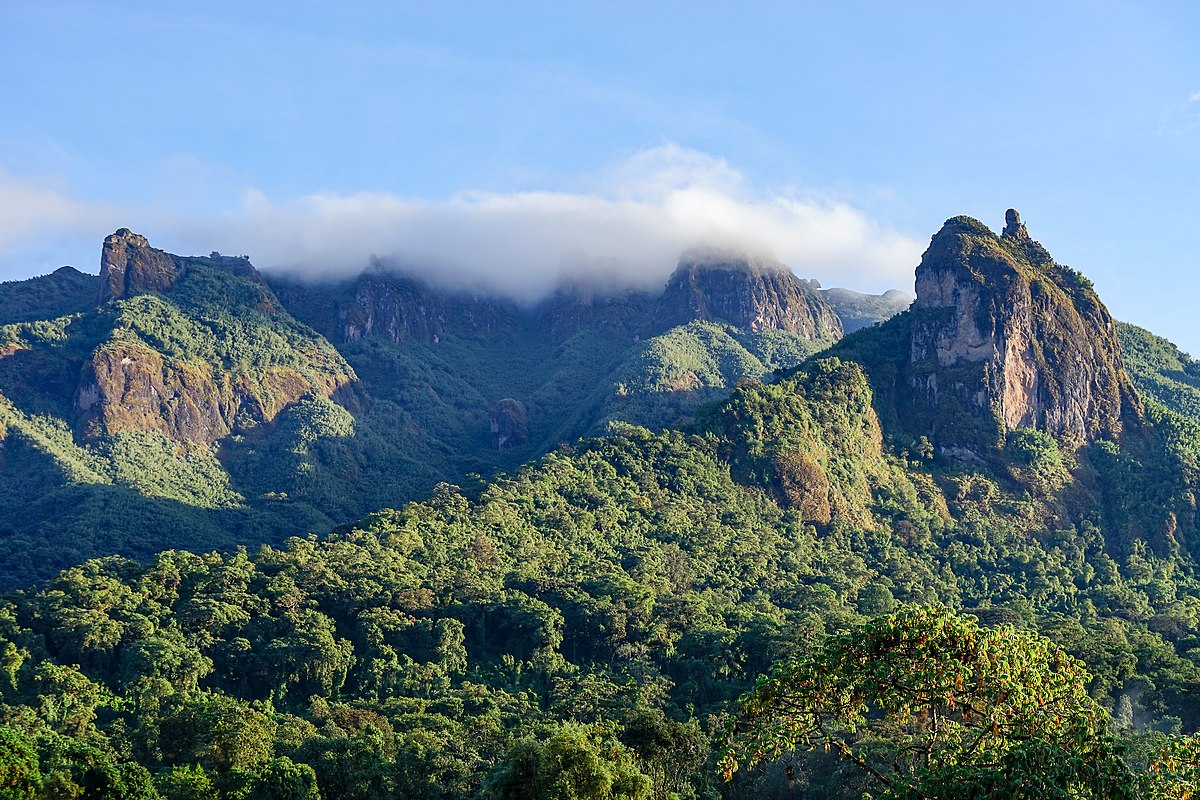 Bale_Mountains_National_Park_(49851109481)